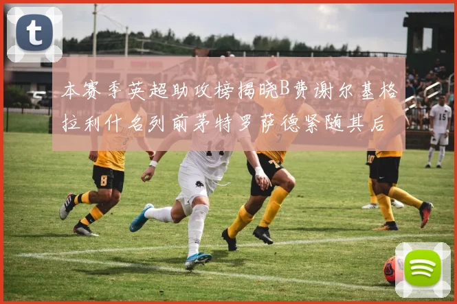 本赛季英超助攻榜揭晓B费谢尔基格拉利什名列前茅特罗萨德紧随其后