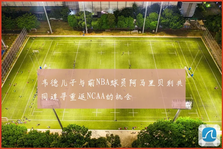韦德儿子与前NBA球员阿马里贝利共同追寻重返NCAA的机会